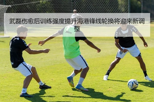 武磊伤愈后训练强度提升海港锋线轮换将迎来新调整