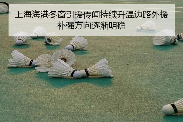 上海海港冬窗引援传闻持续升温边路外援补强方向逐渐明确